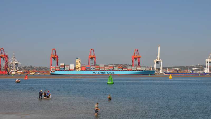 m_Container-Terminal_Durban